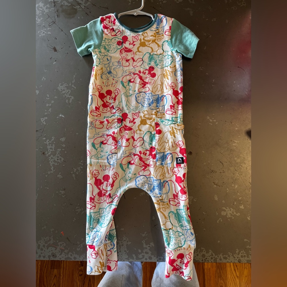 Disney Rags to Raches